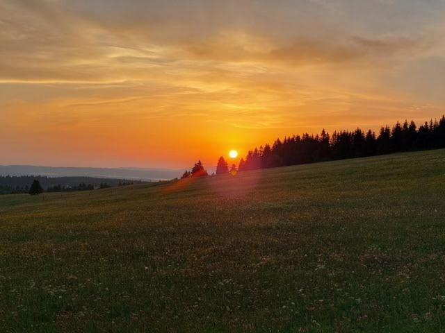 Landgasthof Neitsch Schwarzenberg  Eksteriør bilde