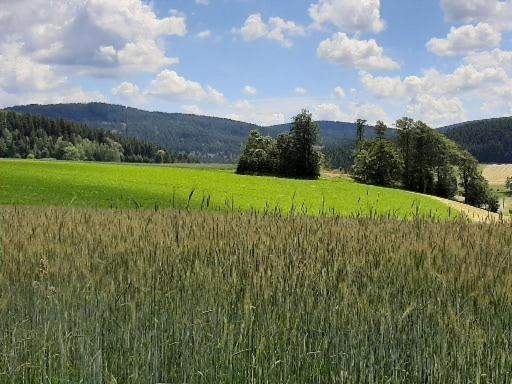 Landgasthof Neitsch Schwarzenberg  Eksteriør bilde